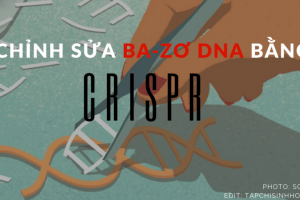 Chỉnh sửa đột biến điểm bằng CRISPR